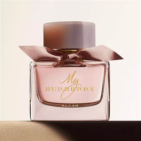 burberry bimbo firenze|burberry perfumes for women.